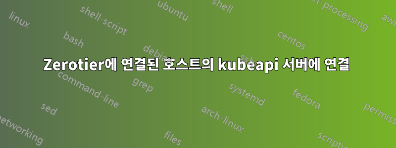 Zerotier에 연결된 호스트의 kubeapi 서버에 연결