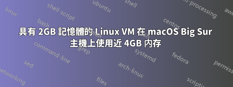 具有 2GB 記憶體的 Linux VM 在 macOS Big Sur 主機上使用近 4GB 內存