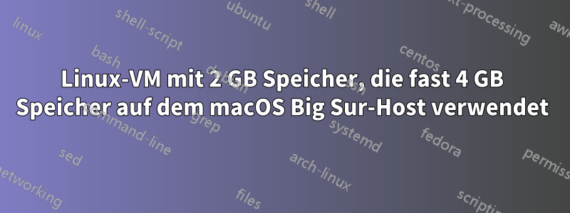 Linux-VM mit 2 GB Speicher, die fast 4 GB Speicher auf dem macOS Big Sur-Host verwendet