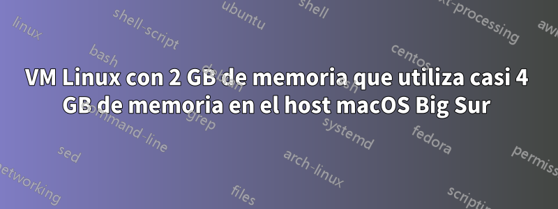 VM Linux con 2 GB de memoria que utiliza casi 4 GB de memoria en el host macOS Big Sur