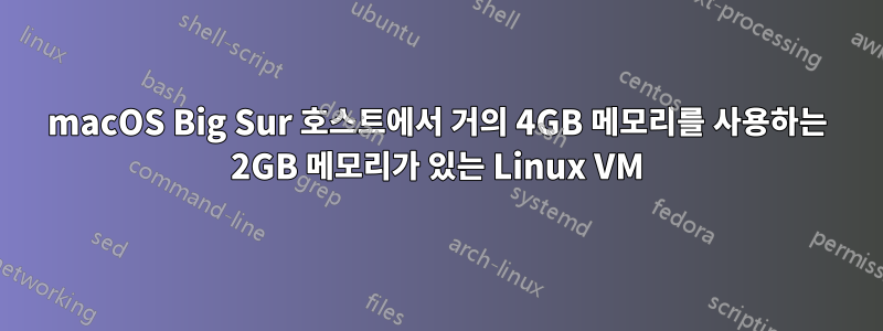 macOS Big Sur 호스트에서 거의 4GB 메모리를 사용하는 2GB 메모리가 있는 Linux VM