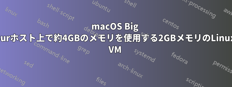 macOS Big Surホスト上で約4GBのメモリを使用する2GBメモリのLinux VM