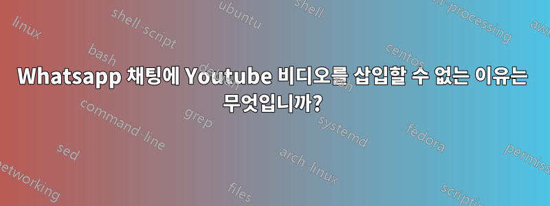 Whatsapp 채팅에 Youtube 비디오를 삽입할 수 없는 이유는 무엇입니까?