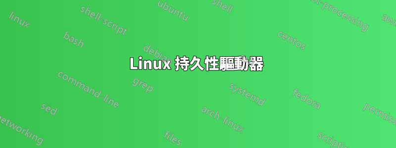 Linux 持久性驅動器