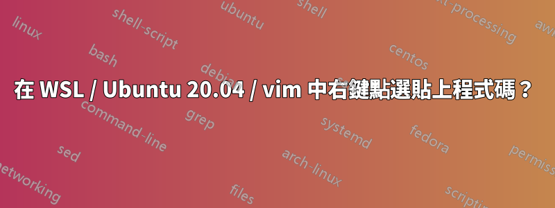 在 WSL / Ubuntu 20.04 / vim 中右鍵點選貼上程式碼？