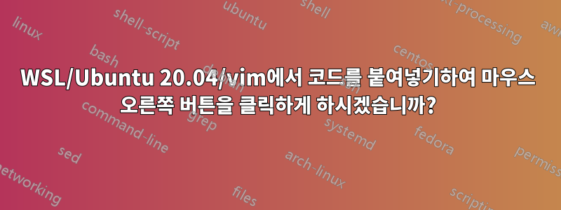 WSL/Ubuntu 20.04/vim에서 코드를 붙여넣기하여 마우스 오른쪽 버튼을 클릭하게 하시겠습니까?