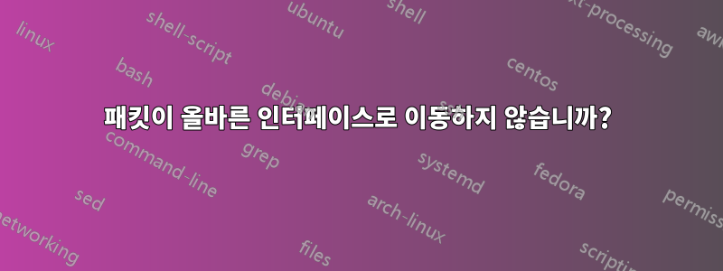 패킷이 올바른 인터페이스로 이동하지 않습니까?