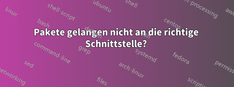 Pakete gelangen nicht an die richtige Schnittstelle?