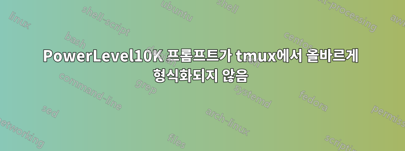 PowerLevel10K 프롬프트가 tmux에서 올바르게 형식화되지 않음