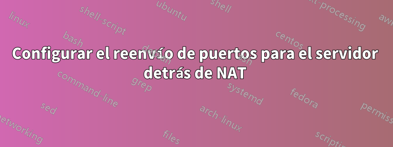 Configurar el reenvío de puertos para el servidor detrás de NAT