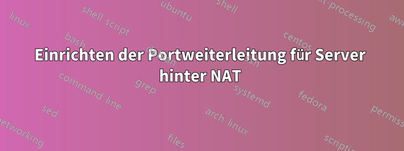 Einrichten der Portweiterleitung für Server hinter NAT