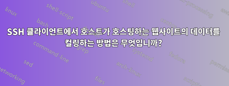 SSH 클라이언트에서 호스트가 호스팅하는 웹사이트의 데이터를 컬링하는 방법은 무엇입니까?