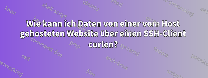 Wie kann ich Daten von einer vom Host gehosteten Website über einen SSH-Client curlen?