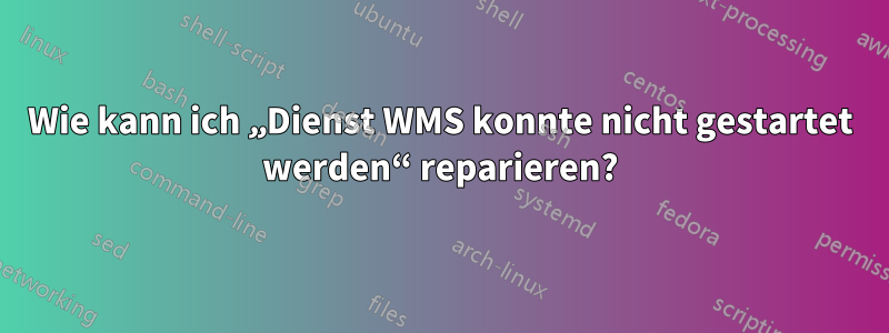 Wie kann ich „Dienst WMS konnte nicht gestartet werden“ reparieren?