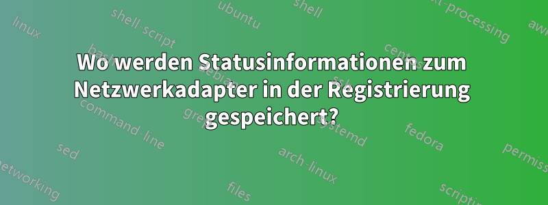 Wo werden Statusinformationen zum Netzwerkadapter in der Registrierung gespeichert?