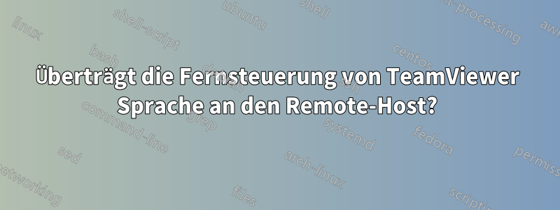 Überträgt die Fernsteuerung von TeamViewer Sprache an den Remote-Host?