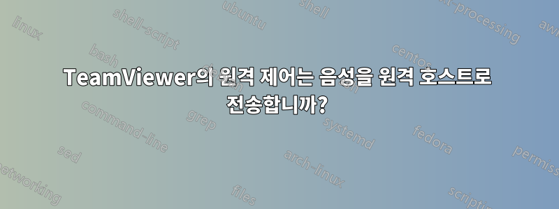 TeamViewer의 원격 제어는 음성을 원격 호스트로 전송합니까?