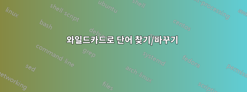 와일드카드로 단어 찾기/바꾸기