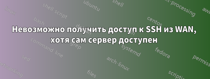 Невозможно получить доступ к SSH из WAN, хотя сам сервер доступен