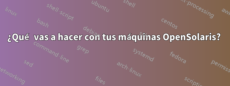 ¿Qué vas a hacer con tus máquinas OpenSolaris?