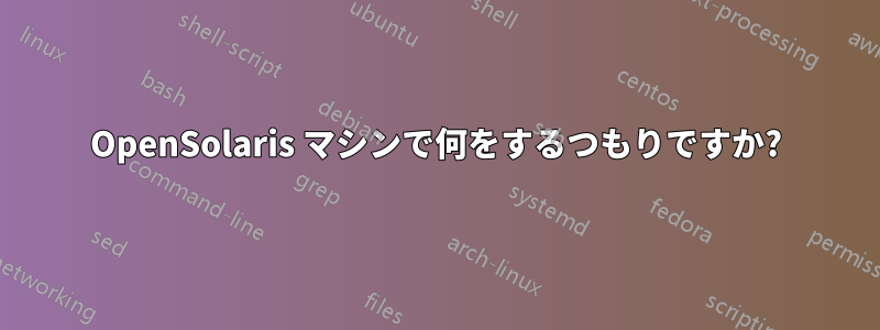 OpenSolaris マシンで何をするつもりですか?
