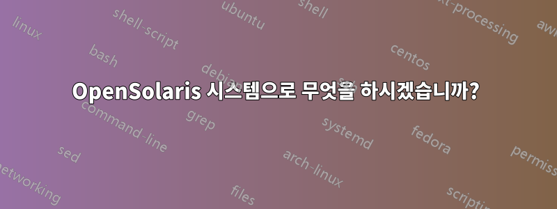 OpenSolaris 시스템으로 무엇을 하시겠습니까?