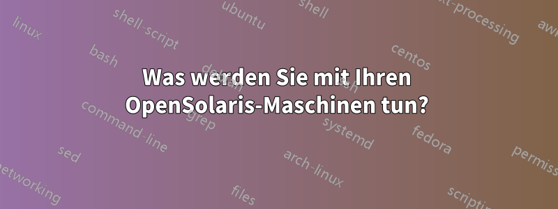Was werden Sie mit Ihren OpenSolaris-Maschinen tun?