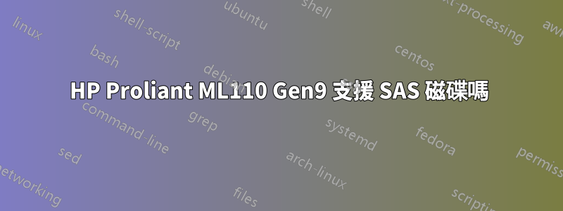 HP Proliant ML110 Gen9 支援 SAS 磁碟嗎