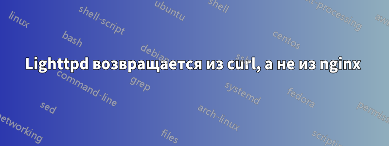 Lighttpd возвращается из curl, а не из nginx