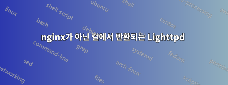 nginx가 아닌 컬에서 반환되는 Lighttpd