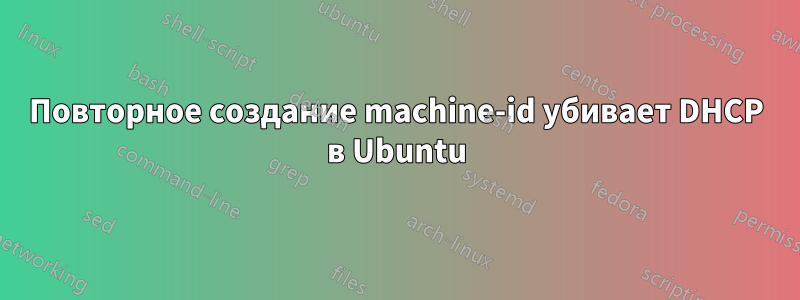Повторное создание machine-id убивает DHCP в Ubuntu