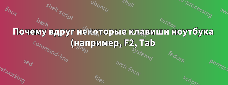 Почему вдруг некоторые клавиши ноутбука (например, F2, Tab) не реагируют, пока их не удерживать?