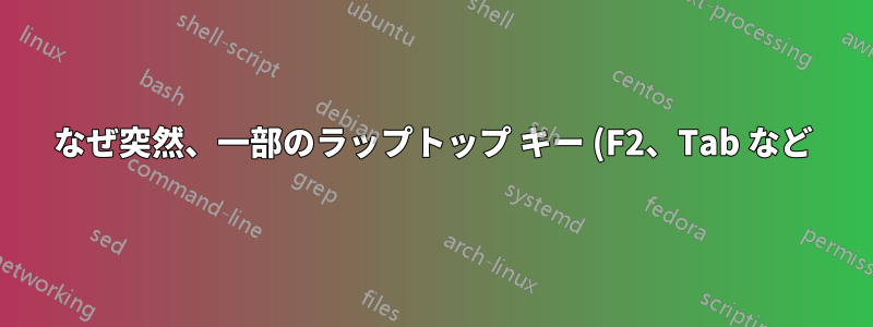 なぜ突然、一部のラップトップ キー (F2、Tab など) が押し続けないと反応しなくなるのでしょうか?