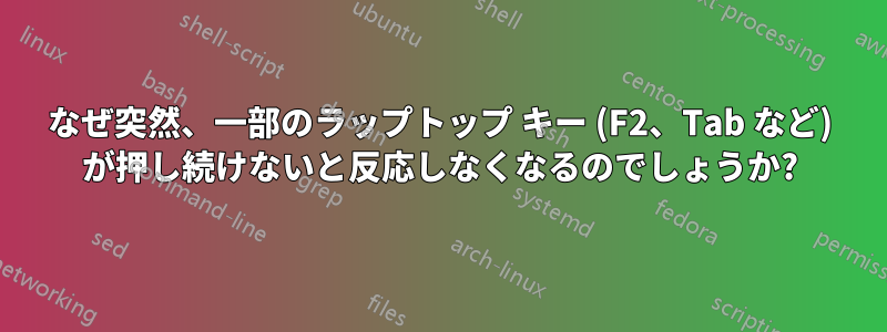 なぜ突然、一部のラップトップ キー (F2、Tab など) が押し続けないと反応しなくなるのでしょうか?