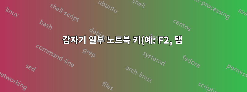 갑자기 일부 노트북 키(예: F2, 탭)가 길게 눌러질 때까지 반응하지 않는 이유는 무엇입니까?
