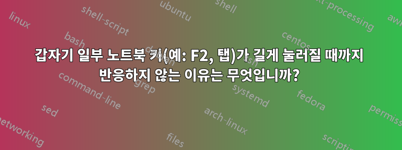갑자기 일부 노트북 키(예: F2, 탭)가 길게 눌러질 때까지 반응하지 않는 이유는 무엇입니까?