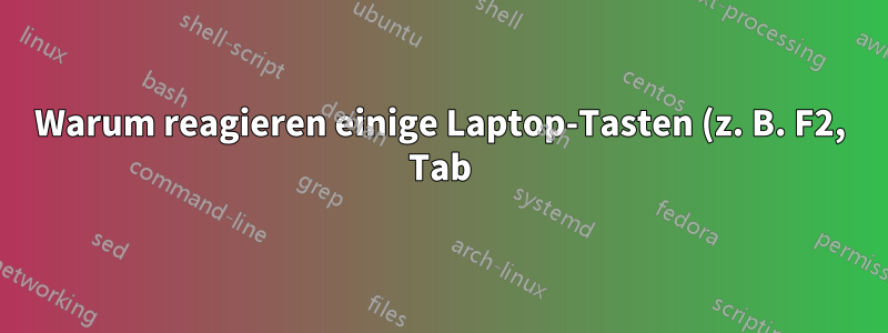 Warum reagieren einige Laptop-Tasten (z. B. F2, Tab) plötzlich nicht, bis sie gedrückt gehalten werden?