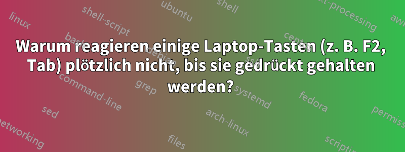 Warum reagieren einige Laptop-Tasten (z. B. F2, Tab) plötzlich nicht, bis sie gedrückt gehalten werden?