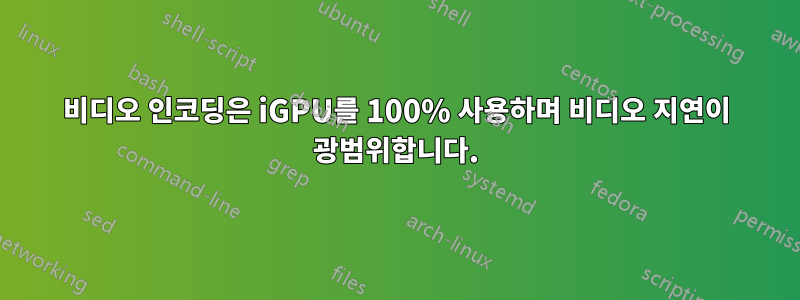 비디오 인코딩은 iGPU를 100% 사용하며 비디오 지연이 광범위합니다.