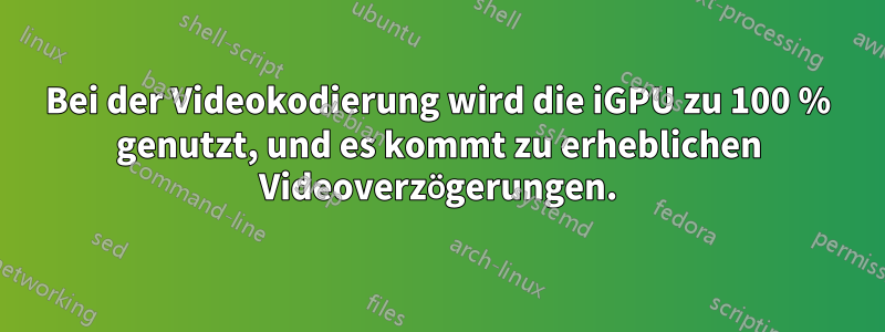 Bei der Videokodierung wird die iGPU zu 100 % genutzt, und es kommt zu erheblichen Videoverzögerungen.