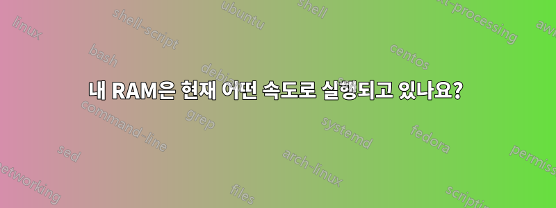 내 RAM은 현재 어떤 속도로 실행되고 있나요?