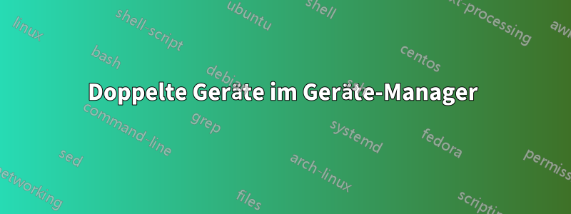 Doppelte Geräte im Geräte-Manager
