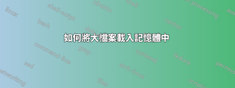 如何將大檔案載入記憶體中