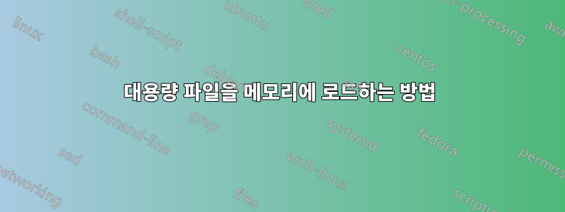 대용량 파일을 메모리에 로드하는 방법