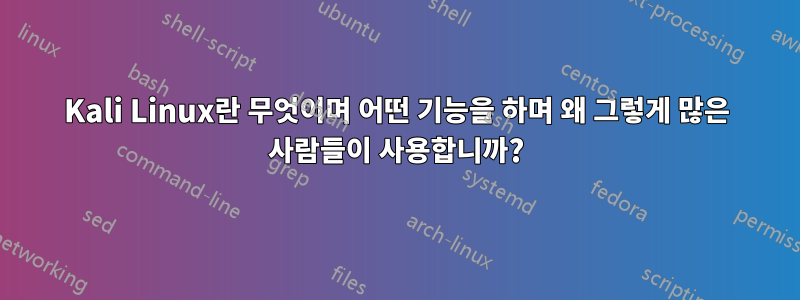 Kali Linux란 무엇이며 어떤 기능을 하며 왜 그렇게 많은 사람들이 사용합니까?