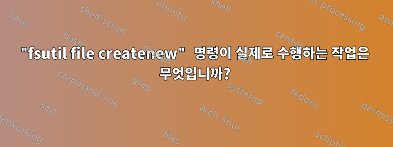 "fsutil file createnew" 명령이 실제로 수행하는 작업은 무엇입니까?