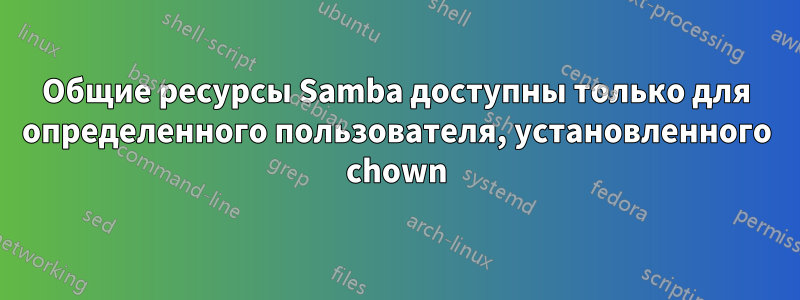 Общие ресурсы Samba доступны только для определенного пользователя, установленного chown