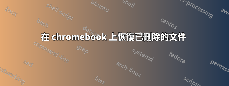 在 chromebook 上恢復已刪除的文件