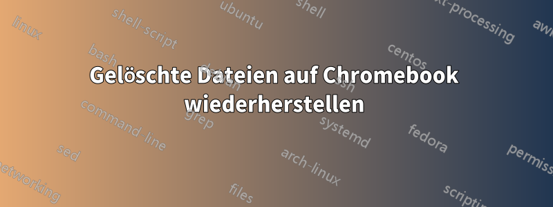 Gelöschte Dateien auf Chromebook wiederherstellen