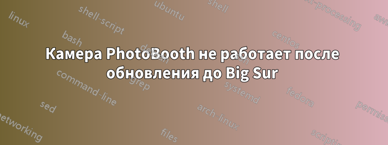 Камера PhotoBooth не работает после обновления до Big Sur